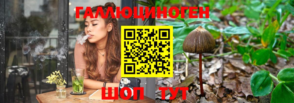 Псилоцибиновые грибы мицелий  Галлюциногенные грибы MAGIC MUSHROOMS  Южноуральск  Вход с VPN 